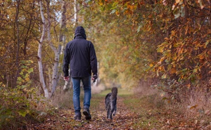 Top 8 Mental And Physical Health Benefits Of Owning A Pet