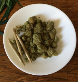 5 Tips To Make Your First CBD Joint
