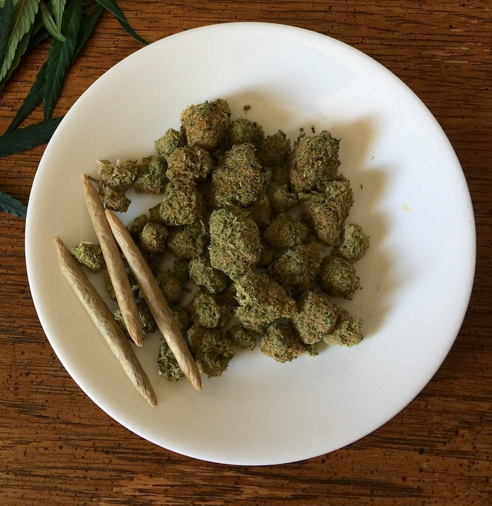 5 Tips To Make Your First CBD Joint